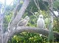 En route vers Bird Island - hotel - ile - nature (36)